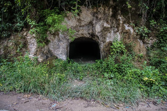 Terowongan Venilale