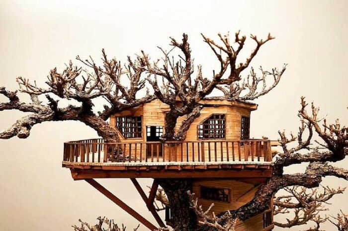 Bukan Dibangun di Pohon Besar, Rumah Pohon Ini DIbuat di Tanaman Bonsai
