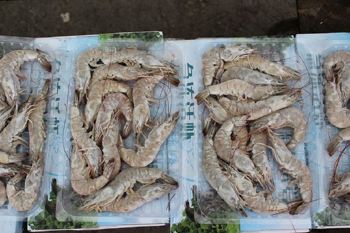 Selain Mencium Aromanya, Pakai 3 Cara Ini Juga untuk Pastikan Udang
