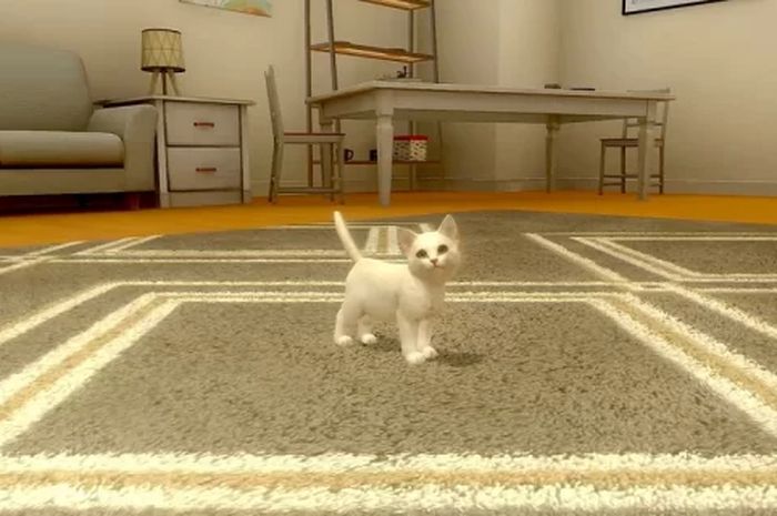 AR Mobile Game With My Cat