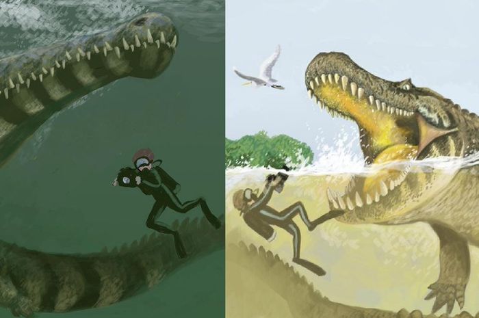 Machimosaurus rex nenek moyang buaya