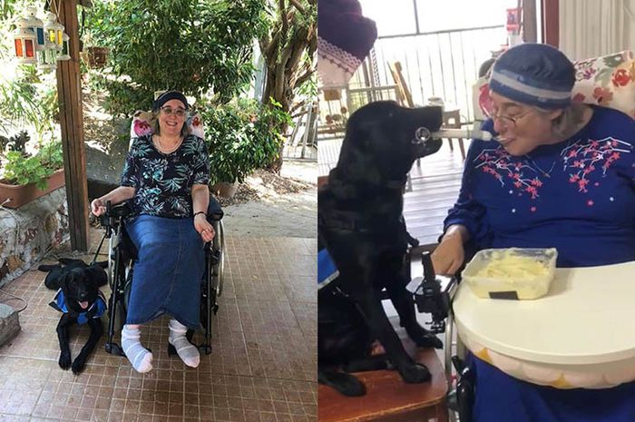 Bikin Terharu, Anjing Ini Bantu Menyuapi Pemiliknya yang Punya