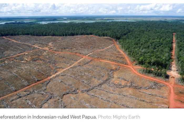 Jor-joran Dorong Pembangunan di Tanah Papua, Indonesia ...