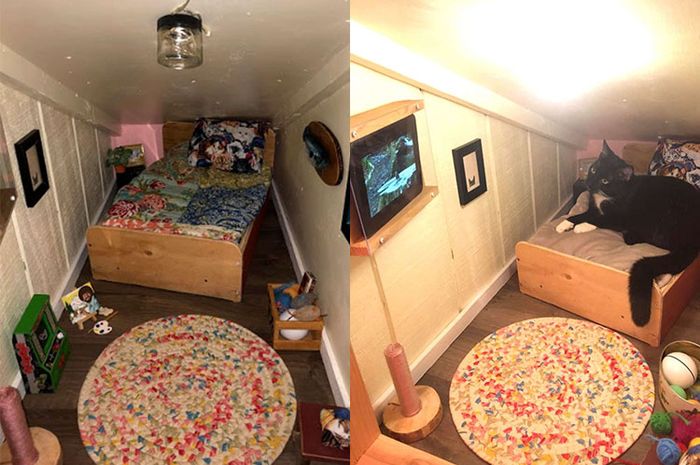 Gemas! LakiLaki Ini Buatkan Kamar Mini untuk Kucingnya Lengkap dengan