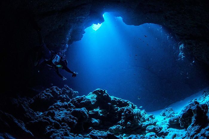 Penyelam Ungkap Kehidupan di Titik Terdalam Bumi Palung Mariana, Miris
