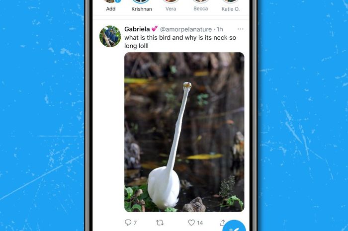 Update Twitter Terbaru Bikin Format Meme “Open for Suprise’ Nggak