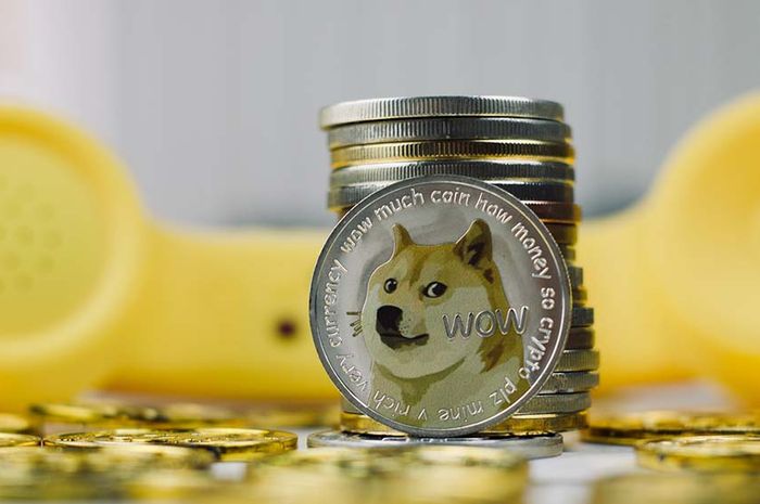 How much is dogecoin worth today per share