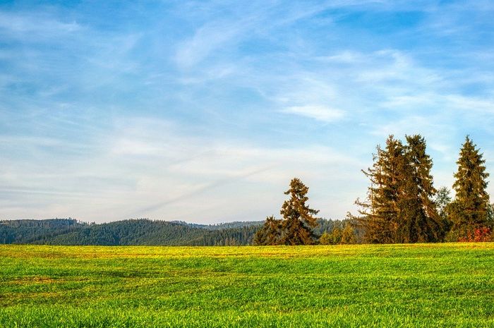 4 Padang Rumput Savana Terindah Di Dunia Salah Satunya Ada Di Indonesia Semua Halaman Kids