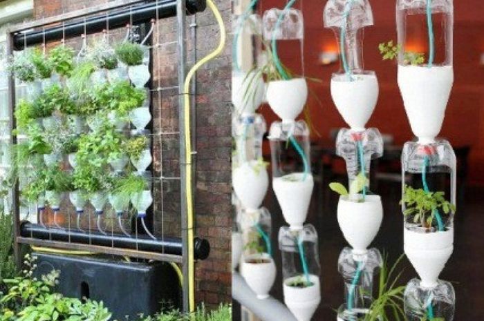 Ilustrasi visual hidroponik dengan sistem tetes tips implementasi sistem tetes untuk petani pemula