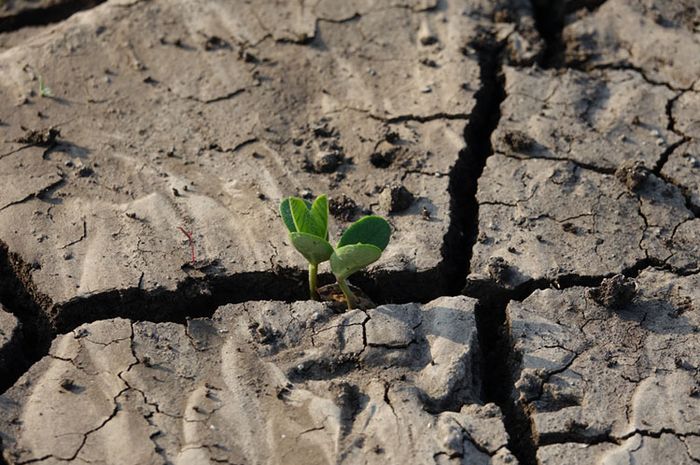 Apa Saja Akibat yang Ditimbulkan dari Erosi oleh Air