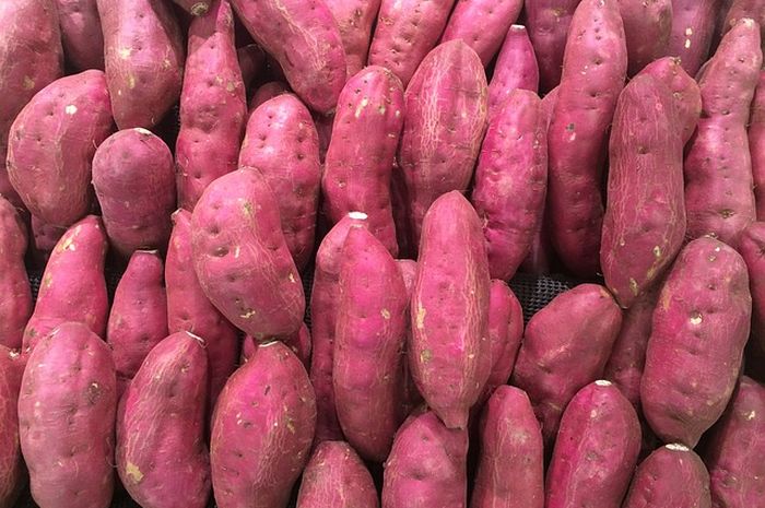 Bukan Hanya untuk Memasak, Ini Manfaat Kesehatan dari Daun Pandan yang
