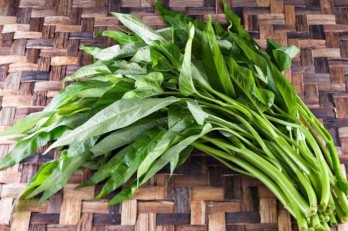 Kangkung