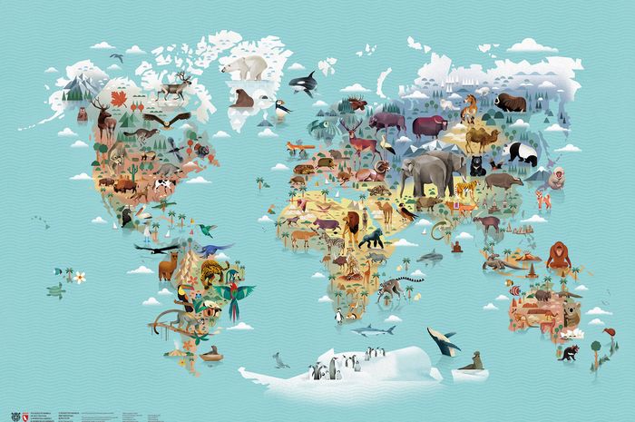 Gambar Peta Persebaran Fauna Di Dunia Terbagi Menjadi 6 Wilayah Fauna