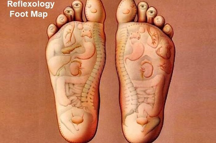 Inilah Gambar Titik Refleksi Kaki Kiri dan Kanan untuk Pengobatan