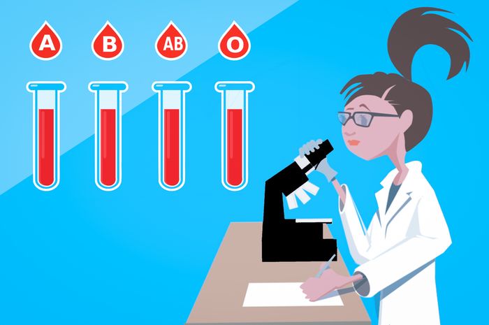 5 Fakta Golongan Darah AB, Langka hingga Rentan Penyakit dan Kanker Bobo