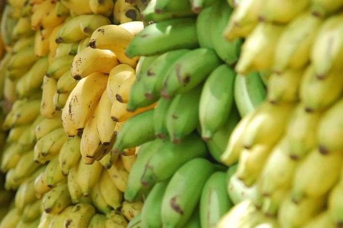 Buah pisang diperkaya kalium yang baik untuk tulang.