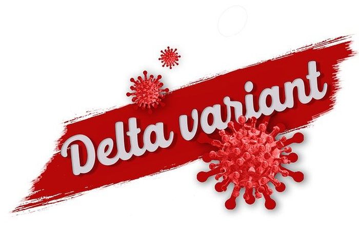 Waspada Kemungkinan Terciptanya Varian Baru Virus Corona Asal Indonesia Iptek Laporan Seputar Sains Dan Teknologi Dan Lingkungan Dw 14 07 2021