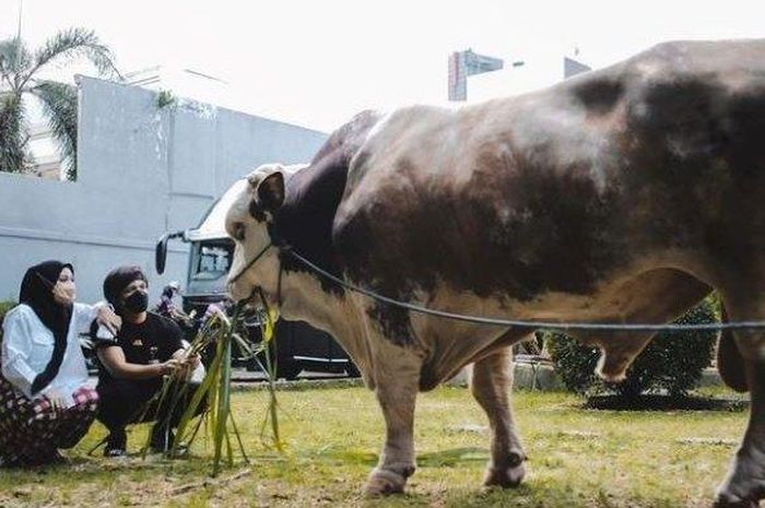 Dapat Pengganti Grandong yang Beratnya 1,3 Ton, Atta Halilintar Siap