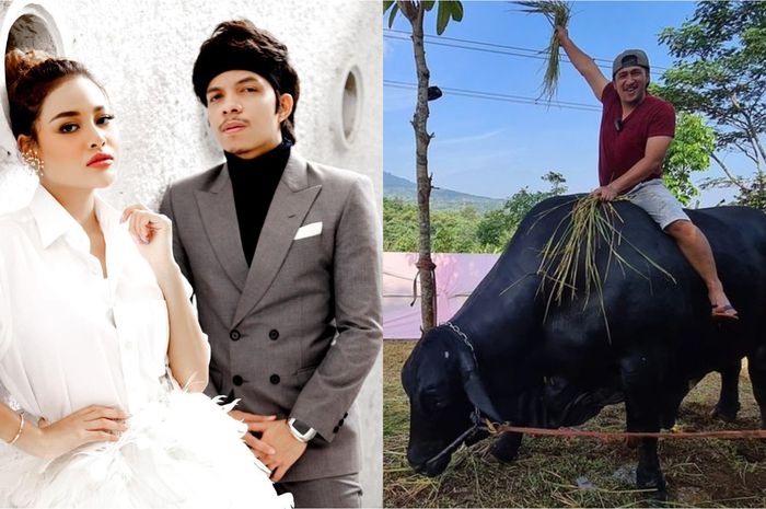 Sama-sama Incar Sapi Seberat 1,3 Ton dengan Irfan Hakim, Atta