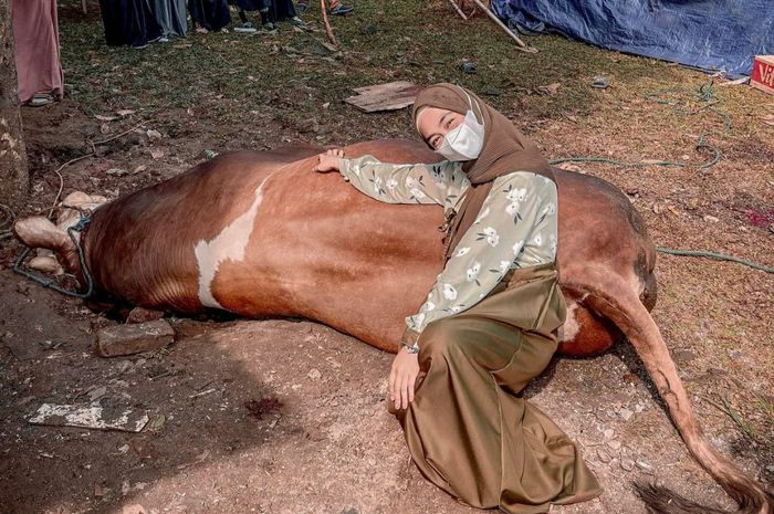 Fantastis! Qurban Sapi Limosin Seberat Hampir 2 Ton, Ria Ricis Beberkan