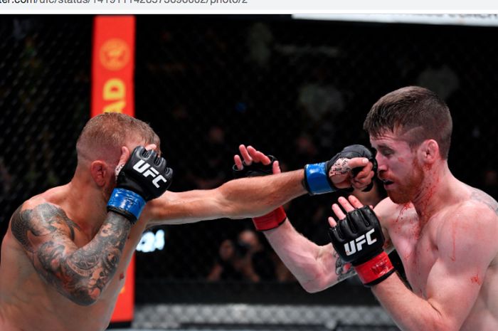 T.J Dillashaw (kiri) saat memukul Cory Sandhagen pada acara utama UFC Vegas 32, di Las Vegas, Amerika Serikat, Minggu (25/7/2021).