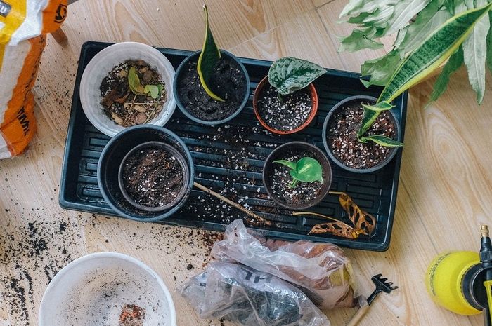 Jangan Sampai Diabaikan Lagi, 3 Kesalahan Perawatan Ini Bisa Bikin