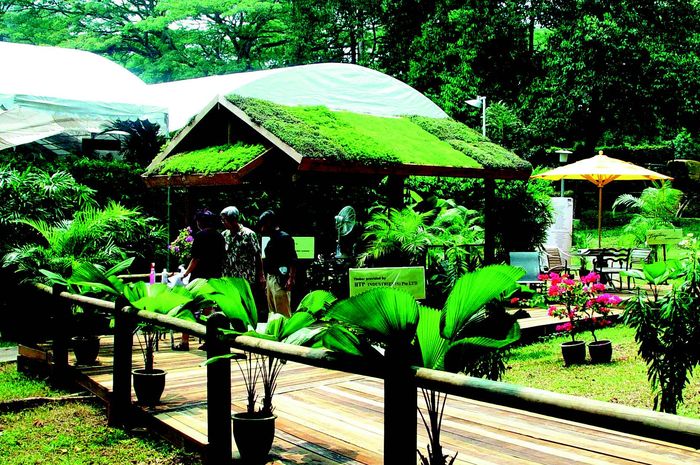 Tampil Natural Dan Biaya Lebih Terjangkau Yuk Kenali Pembuatan Taman Atap Dengan Sistem Gardenroof Semua Halaman Idea