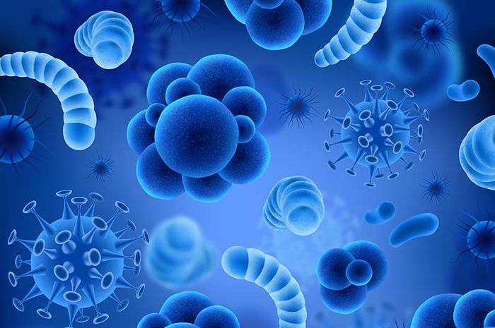 Virus Ebola