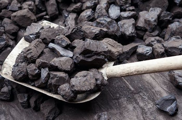 Sumber Daya Alam Hayati dan Non Hayati: Pengertian, Jenis, Sifat, dan