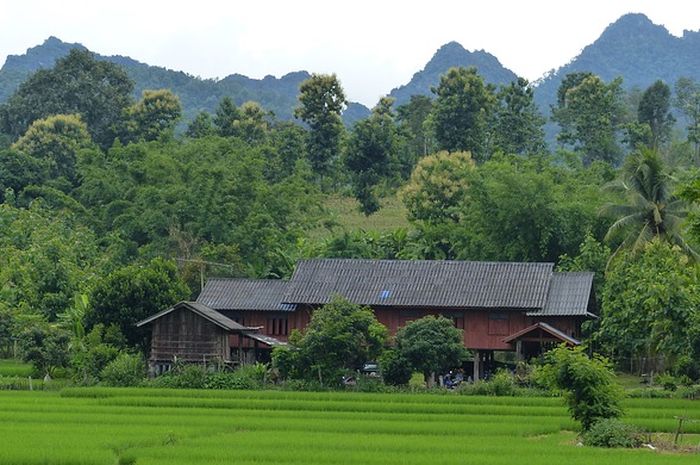 Filosofi dan Fungsi Rumah Adat Imah Badak Heuay dari Jawa Barat - Semua