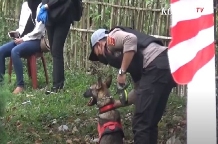 Anjing pelacak yang diterjunkan untuk menyelidiki TKP pembunuhan ibu dan anak di Subang