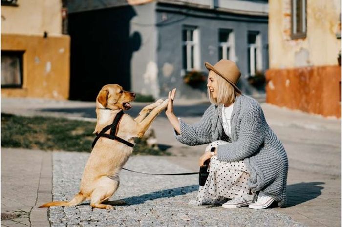 700px x 465px - Dunia Hewan: Anjing 'Menangis' Saat Bertemu dengan Manusia Favoritnya -  Semua Halaman - National Geographic