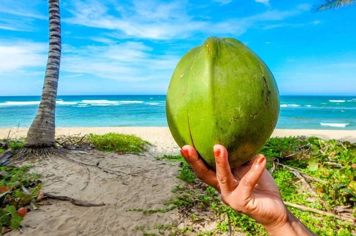 Air kelapa berguna untuk mengembalikan cairan tubuh yang hilang karena banyak berkeringat di siang hari yang panas.