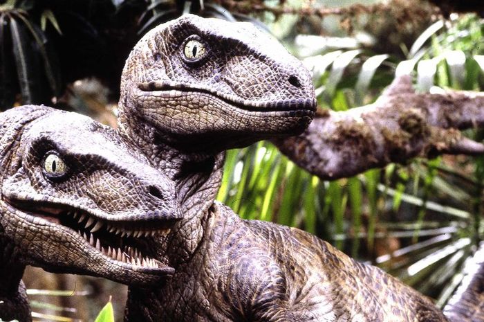 Velociraptors di Jurrasic Park