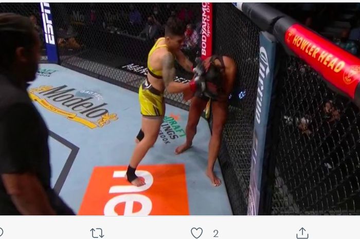 Jessica Andrade mengalahkan Cynthia Calvillo di UFC 266, Minggu (26/9/2021) di Las Vegas. 