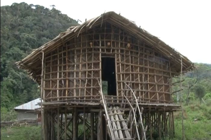 Seluk Beluk Rumah Kaki Seribu, Rumah Adat Suku Arfak - Kids