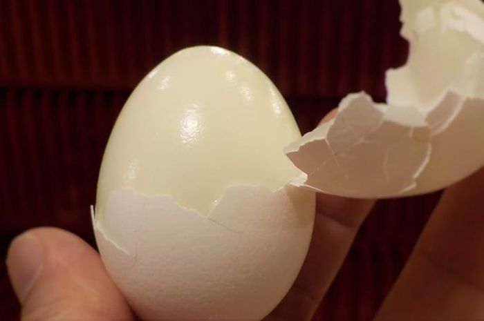 Cara merebus telur agar bakteri mati dan tidak sebabkan keracunan pada tubuh