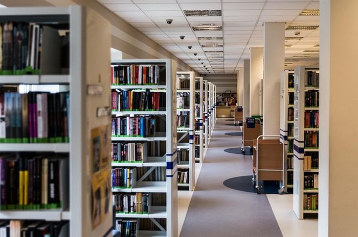 Hari Perpustakaan Sekolah Internasional Diperingati Setiap Tanggal 18  Oktober, Apa Saja Fungsi dari Perpustakaan? - Semua Halaman - Kids