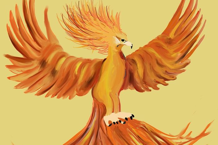 900+ Gambar Burung Merak Yang Sudah Diwarnai Terbaru