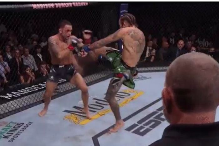 Marlon Vera mengalahkan Frankie Edgar di UFC 268, Minggu (7/11/2021) WIB di Madison Square Garden, New York.