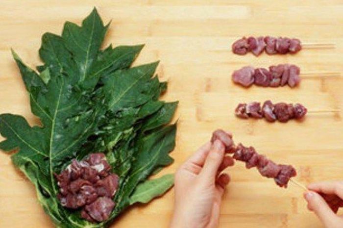 Cuma Tahu Makan Tapi Tidak Sadar Ternyata Ini Alasan Orang Tua Bungkus Daging Dengan Daun Pepaya Sebelum Dimasak Gak Nyangka Semua Halaman Sajian Sedap