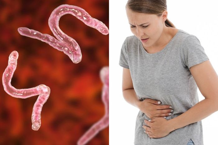 Jangan Senang Dulu! Makan Banyak Tapi Tetap Kurus Bisa Jadi Gejala Cacingan Pada Orang Dewasa, Kenali Cara Mencegahnya Sebelum Menyesal