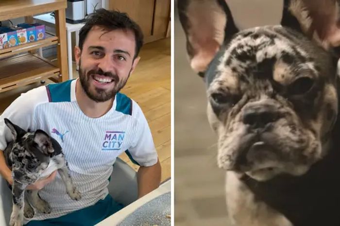 Gelandang Manchester City Bernardo Silva dan anjing peliharaannya yang di beri nama John.
