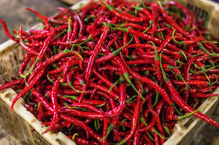 Harga Bahan Taslan Per Kg