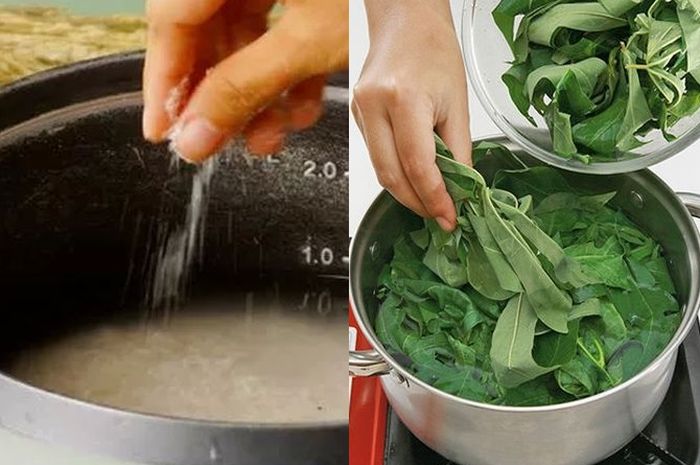 BERITA POPULER Cara Bikin Nasi Pulen dengan Tepung BERITA POPULER Cara Bikin Nasi Pulen dengan Tepung