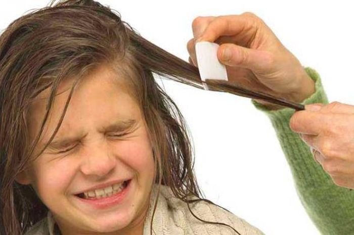 cara mengatasi kutu rambut yang membuat gatal