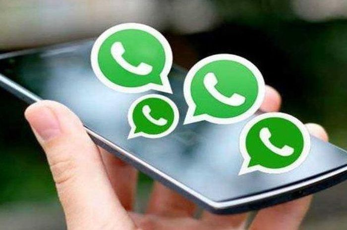 Cara Sadap Whatsapp Hanya dengan Nomor Telepon yang Simpel - Semua Halaman - HIts