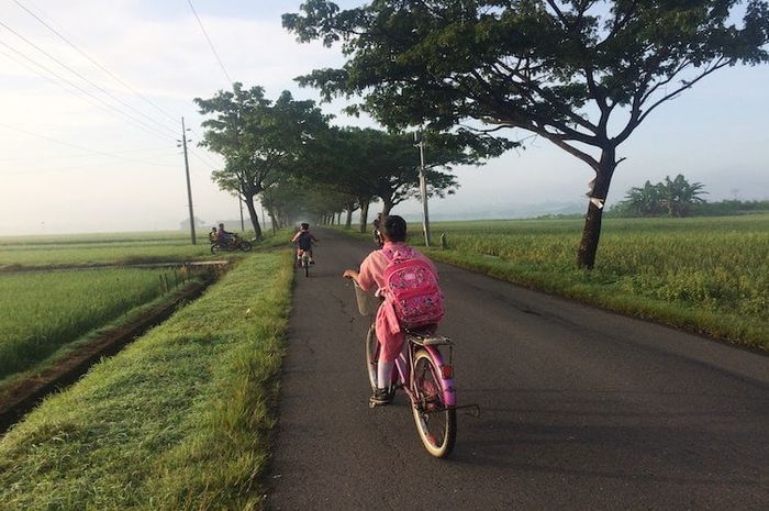 Gambaran umum kelestarian lingkungan di wilayah pedesaan