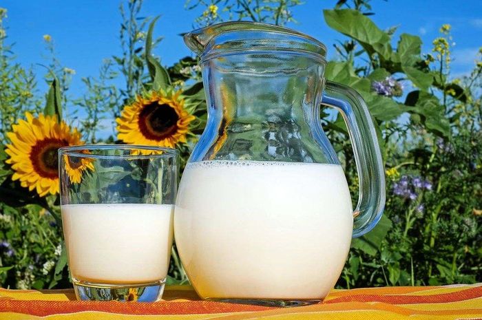 Perbedaan Kandungan Nutrisi Susu Sapi dan Susu Kedelai, Mana yang Lebih