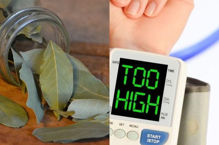 Sering Dipakai Buat Bumbu Masak Tapi Gak Tahu! Daun Salam Ternyata